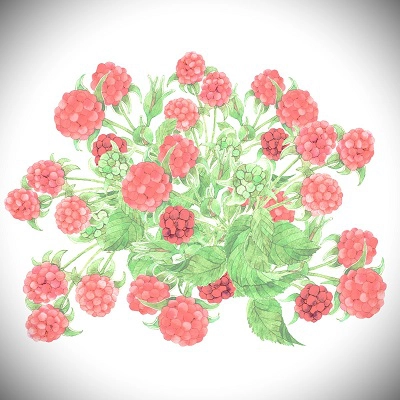 導玄（ドウゲン）霊能者